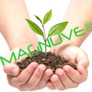 Sistema Producción, Explotación, Agrícola, Cultivo