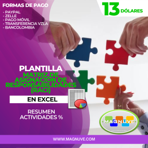 Plantilla Matriz De Asignaciones De Responsabilidades (RACI) En Excel